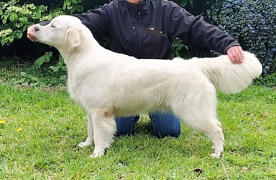 🐕 Née le 10 mars 2022